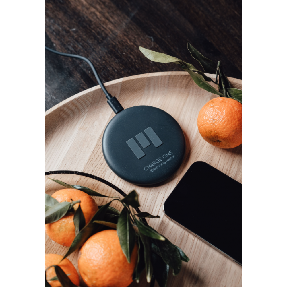 CHARGEONEMiiBUDSPLAYII-04