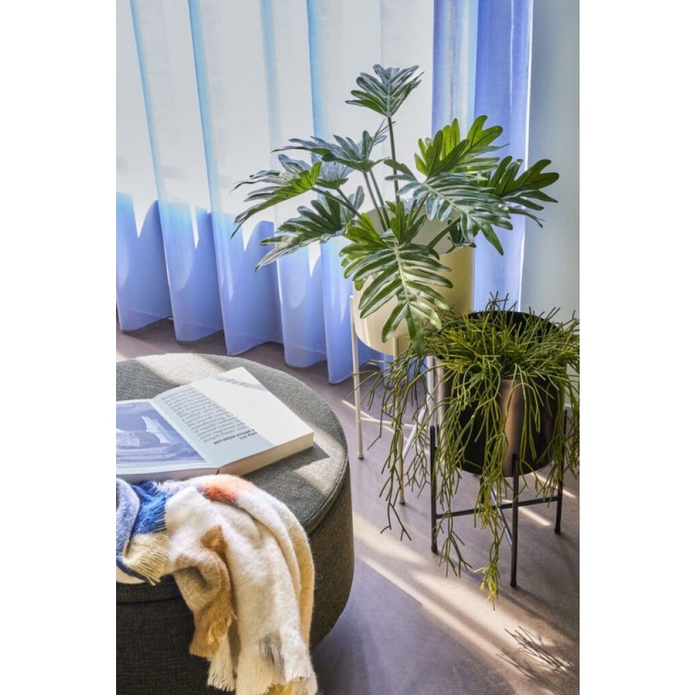 HbschAiryPotterstaf2-04