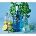 Gin & Tonic - Bivrost