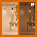 Philips Wiz String Lights